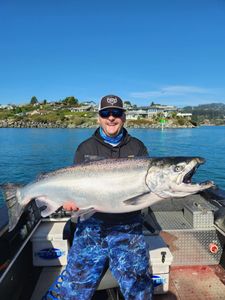 Big Chinook Salmon